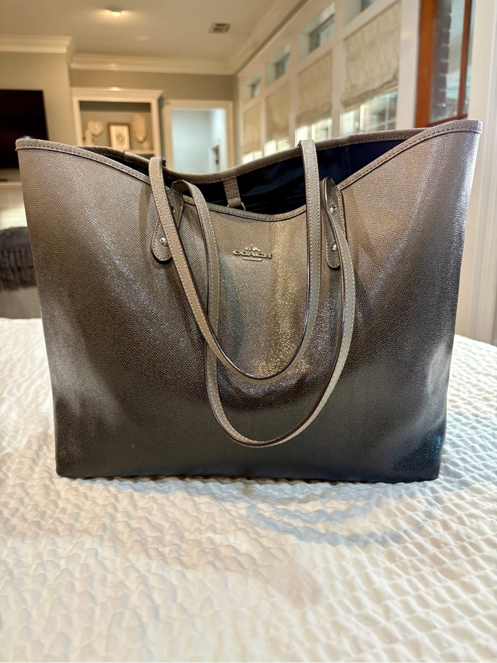 Coach Metallic Silver/Fog Ombré Style Open Leather Tote F22560 Rare